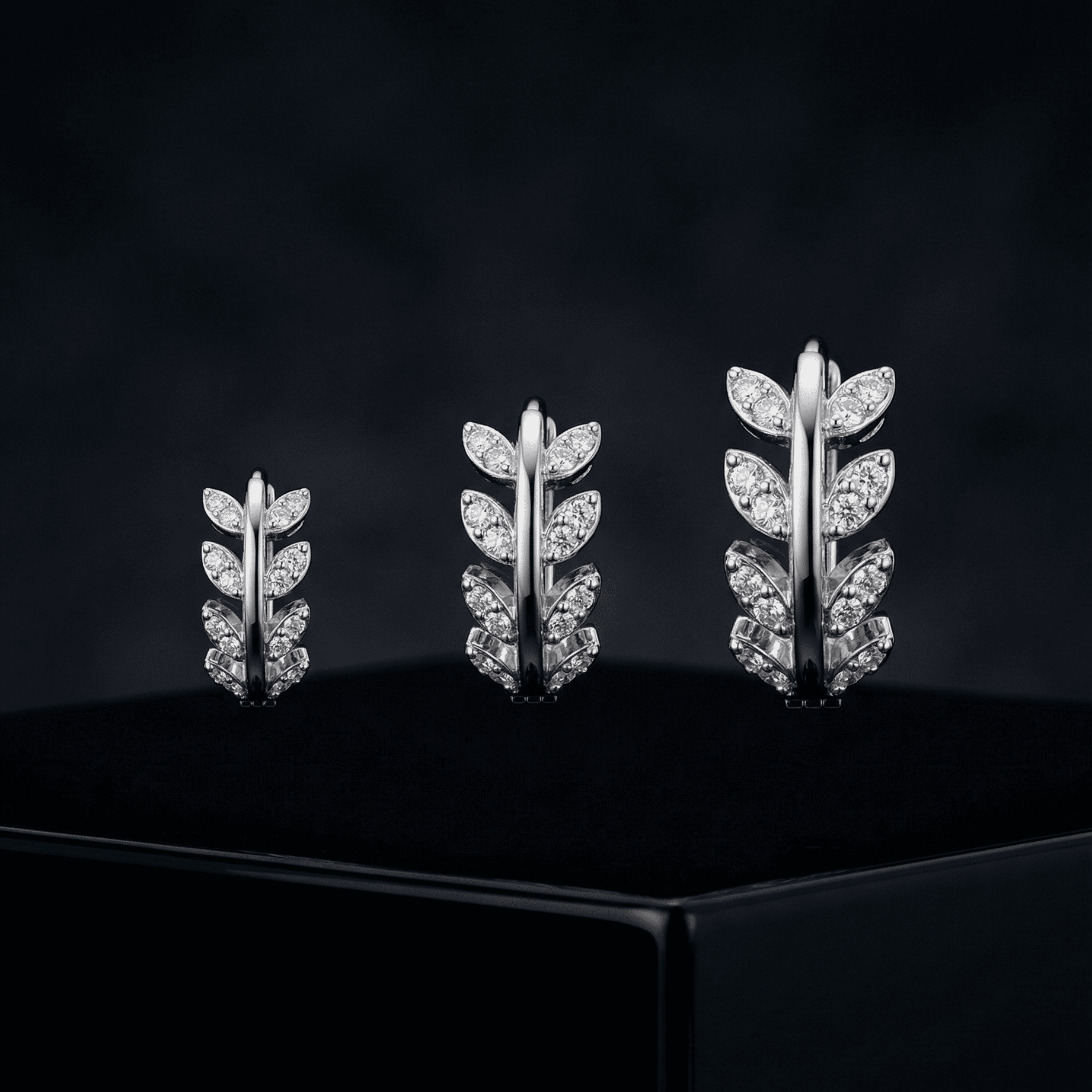 Leaf Zirconia Hoop - Multiple Sizes