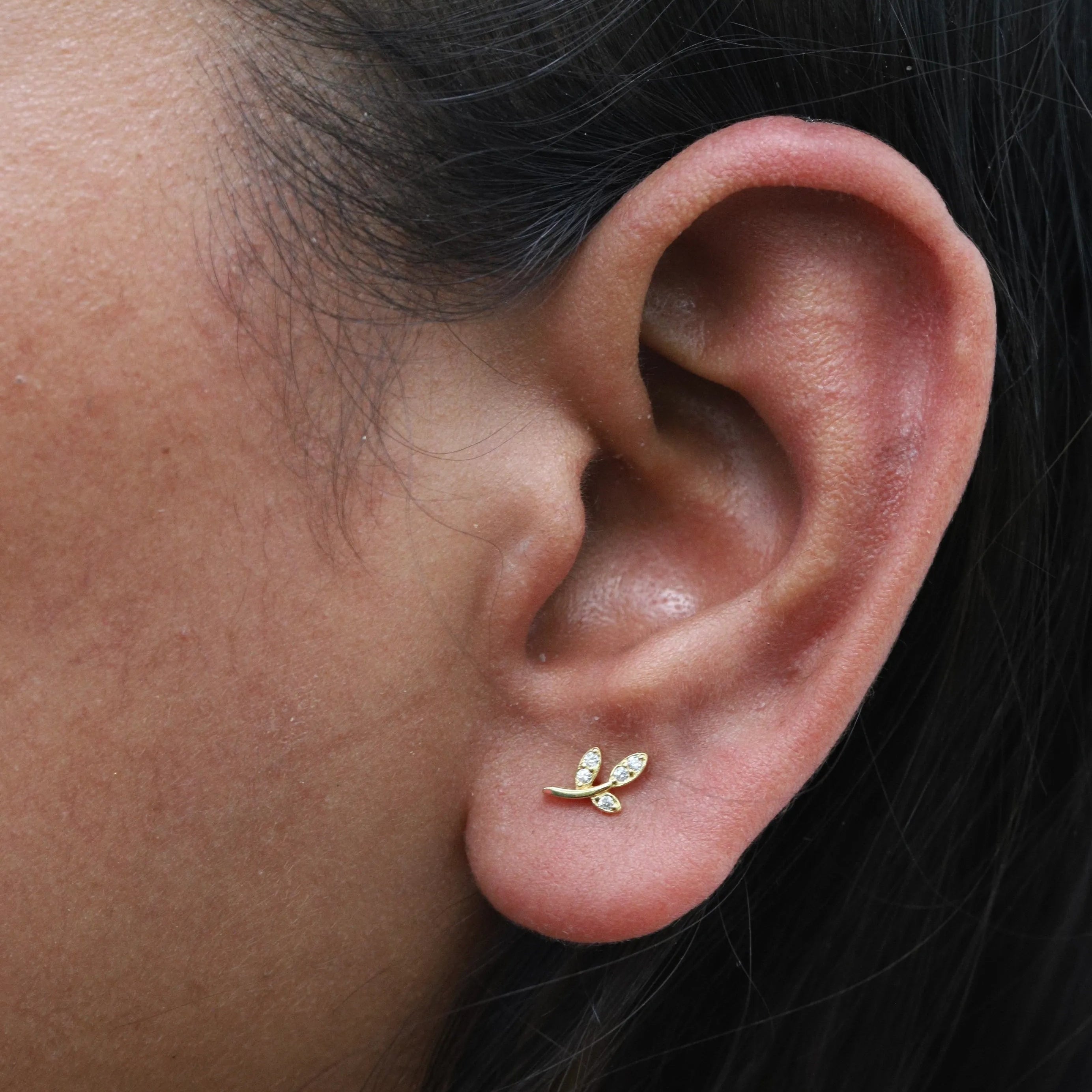Zirconia Marquise Leaf Stud