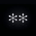 Snowflake Stud Earrings